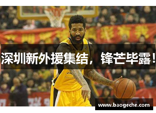 深圳新外援集结，锋芒毕露！